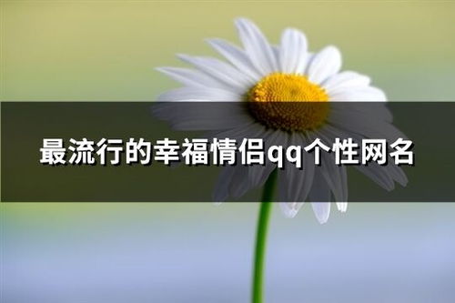 最流行的幸福情侣qq个性网名 精选225个