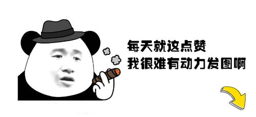 最显白的款式都在这里啦